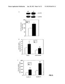 METHOD FOR INCREASING INSULIN SENSITIVITY AND FOR TREATING AND PREVENTING     TYPE 2 DIABETES diagram and image