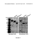 CHIMERIC MOLECULES diagram and image