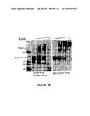 CHIMERIC MOLECULES diagram and image