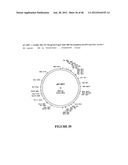 CHIMERIC MOLECULES diagram and image