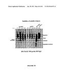 CHIMERIC MOLECULES diagram and image