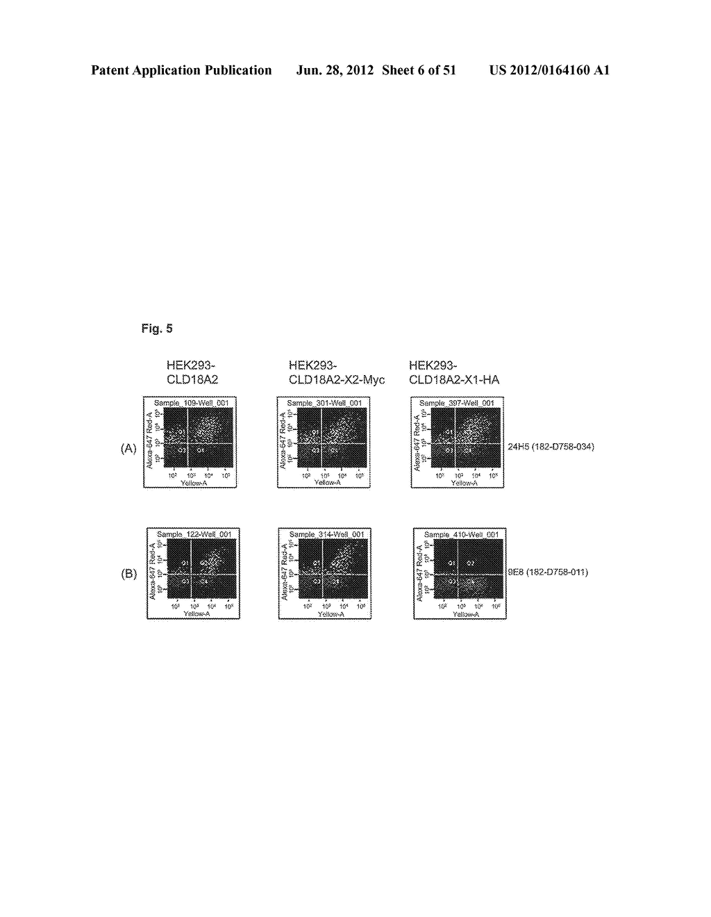 MONOCLONAL ANTIBODIES AGAINST CLAUDIN-18 FOR TREATMENT OF CANCER - diagram, schematic, and image 07