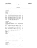 MONOCLONAL ANTIBODIES AGAINST CLAUDIN-18 FOR TREATMENT OF CANCER diagram and image