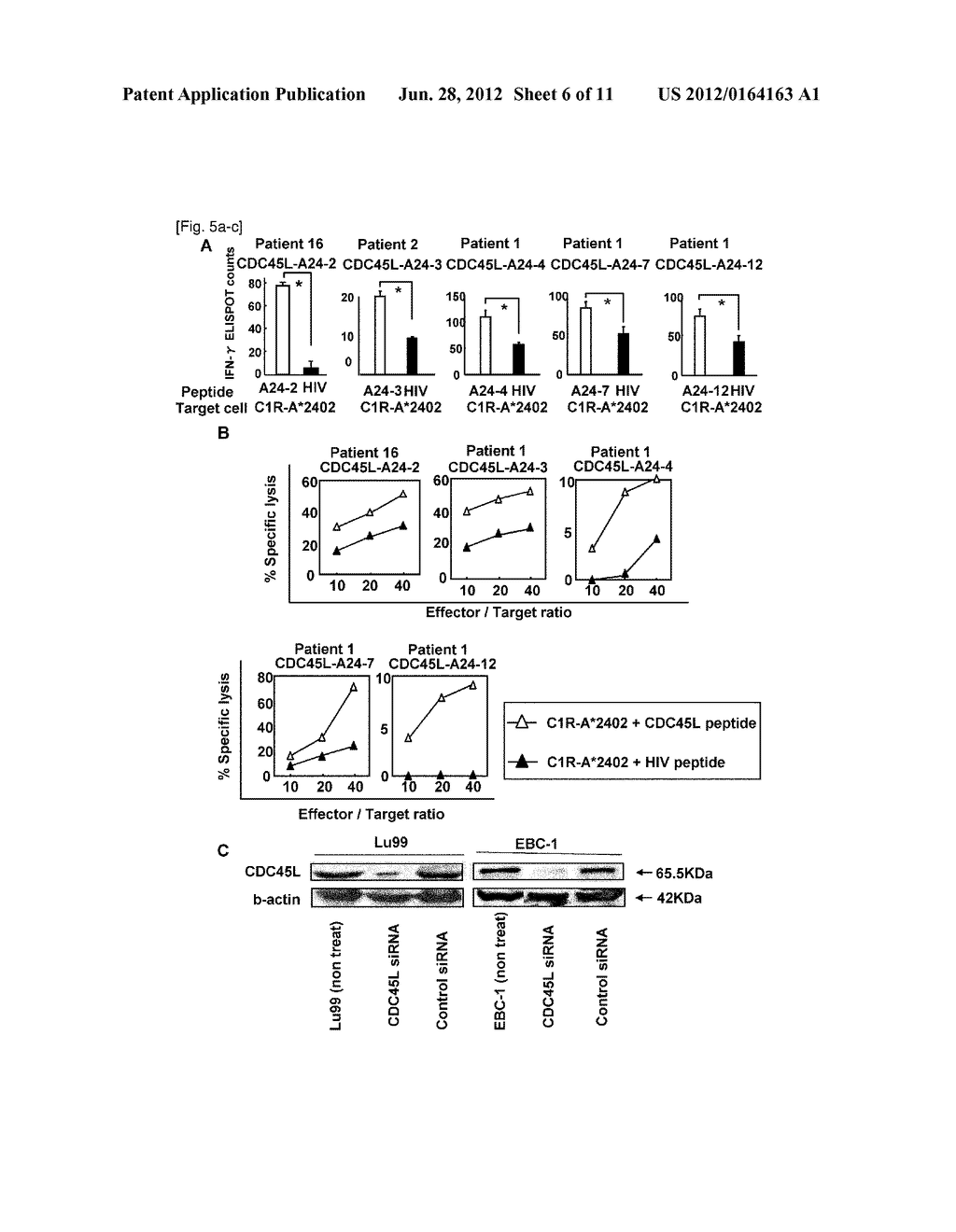 CDC45L PEPTIDES AND VACCINES INCLUDING THE SAME - diagram, schematic, and image 07