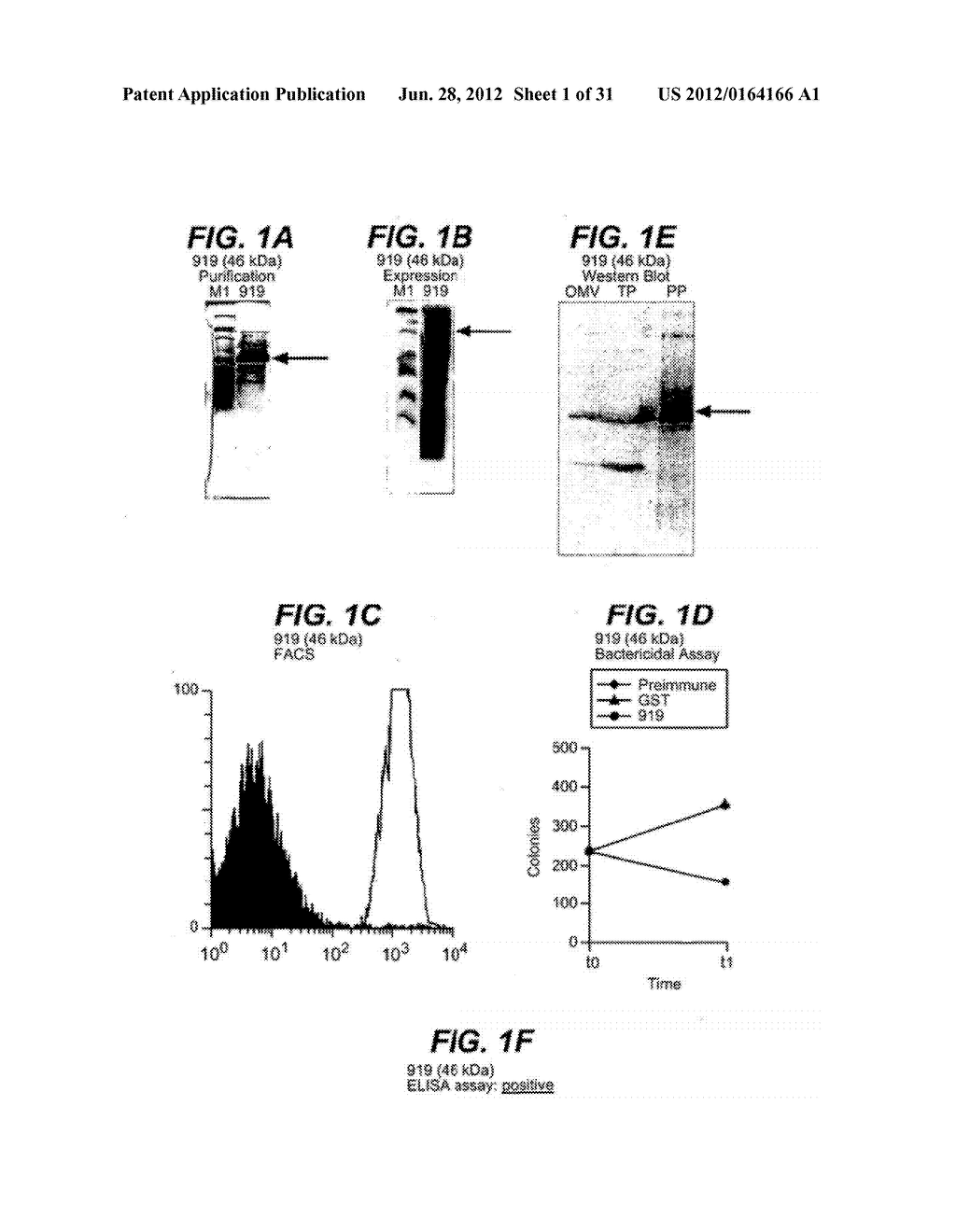 NEISSERIA MENINGITIDIS ANTIGENS AND COMPOSITIONS - diagram, schematic, and image 02