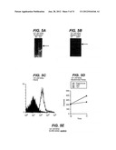 NEISSERIA MENINGITIDIS ANTIGENS AND COMPOSITIONS diagram and image