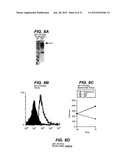 NEISSERIA MENINGITIDIS ANTIGENS AND COMPOSITIONS diagram and image