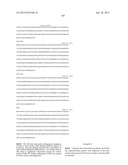 NEISSERIA MENINGITIDIS ANTIGENS AND COMPOSITIONS diagram and image