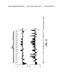 NEISSERIA MENINGITIDIS ANTIGENS AND COMPOSITIONS diagram and image