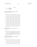 NEISSERIA MENINGITIDIS ANTIGENS AND COMPOSITIONS diagram and image