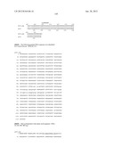 NEISSERIA MENINGITIDIS ANTIGENS AND COMPOSITIONS diagram and image