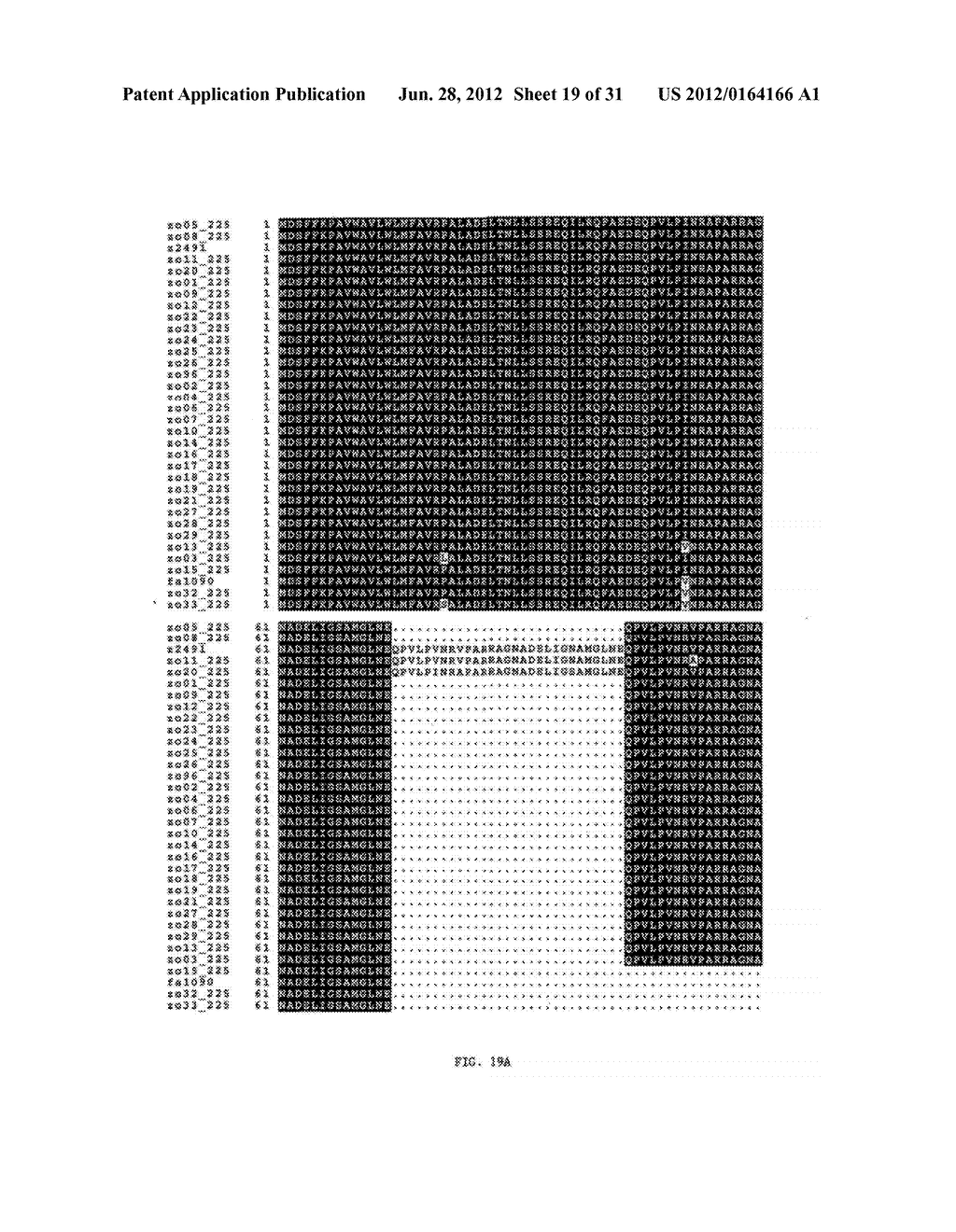 NEISSERIA MENINGITIDIS ANTIGENS AND COMPOSITIONS - diagram, schematic, and image 20