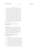 NEISSERIA MENINGITIDIS ANTIGENS AND COMPOSITIONS diagram and image