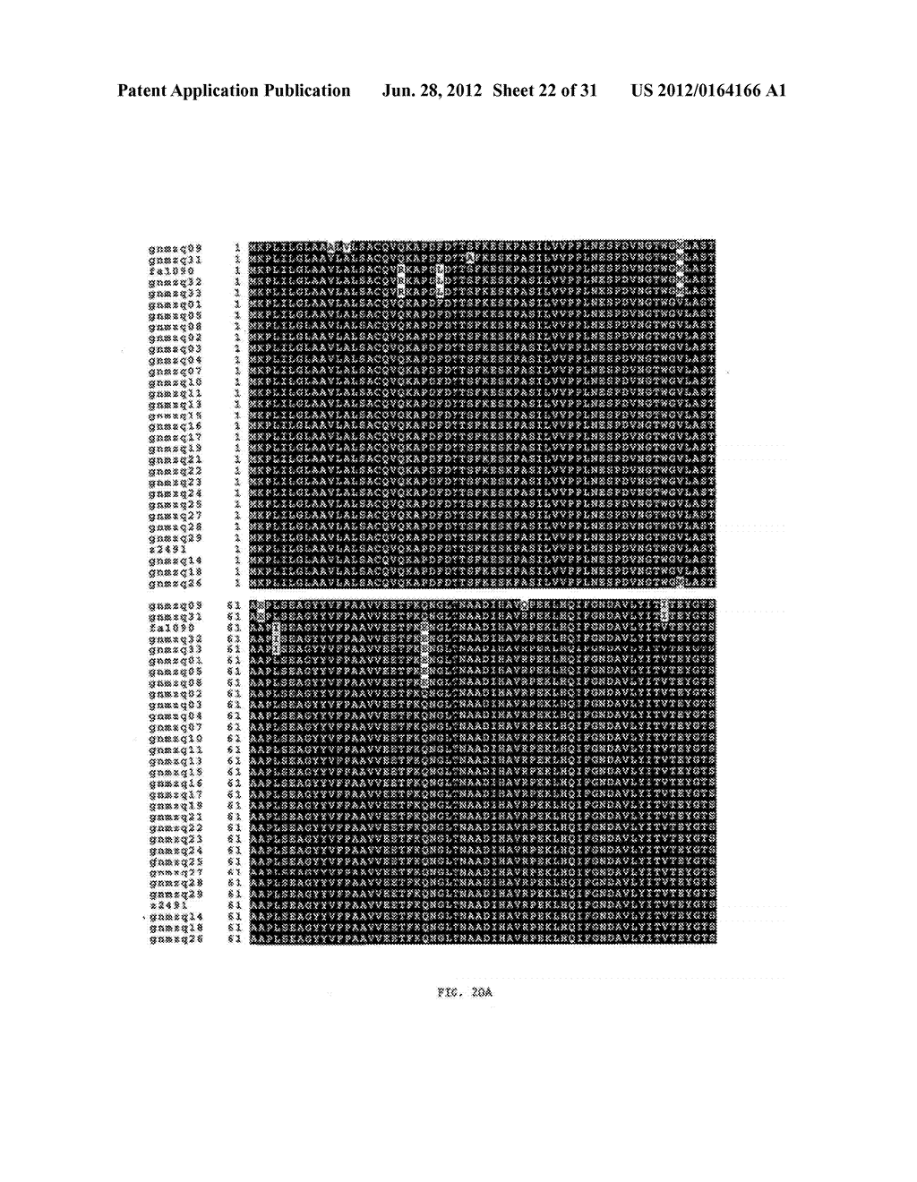 NEISSERIA MENINGITIDIS ANTIGENS AND COMPOSITIONS - diagram, schematic, and image 23