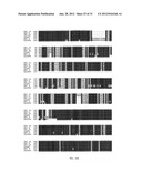 NEISSERIA MENINGITIDIS ANTIGENS AND COMPOSITIONS diagram and image