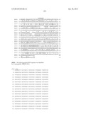 NEISSERIA MENINGITIDIS ANTIGENS AND COMPOSITIONS diagram and image