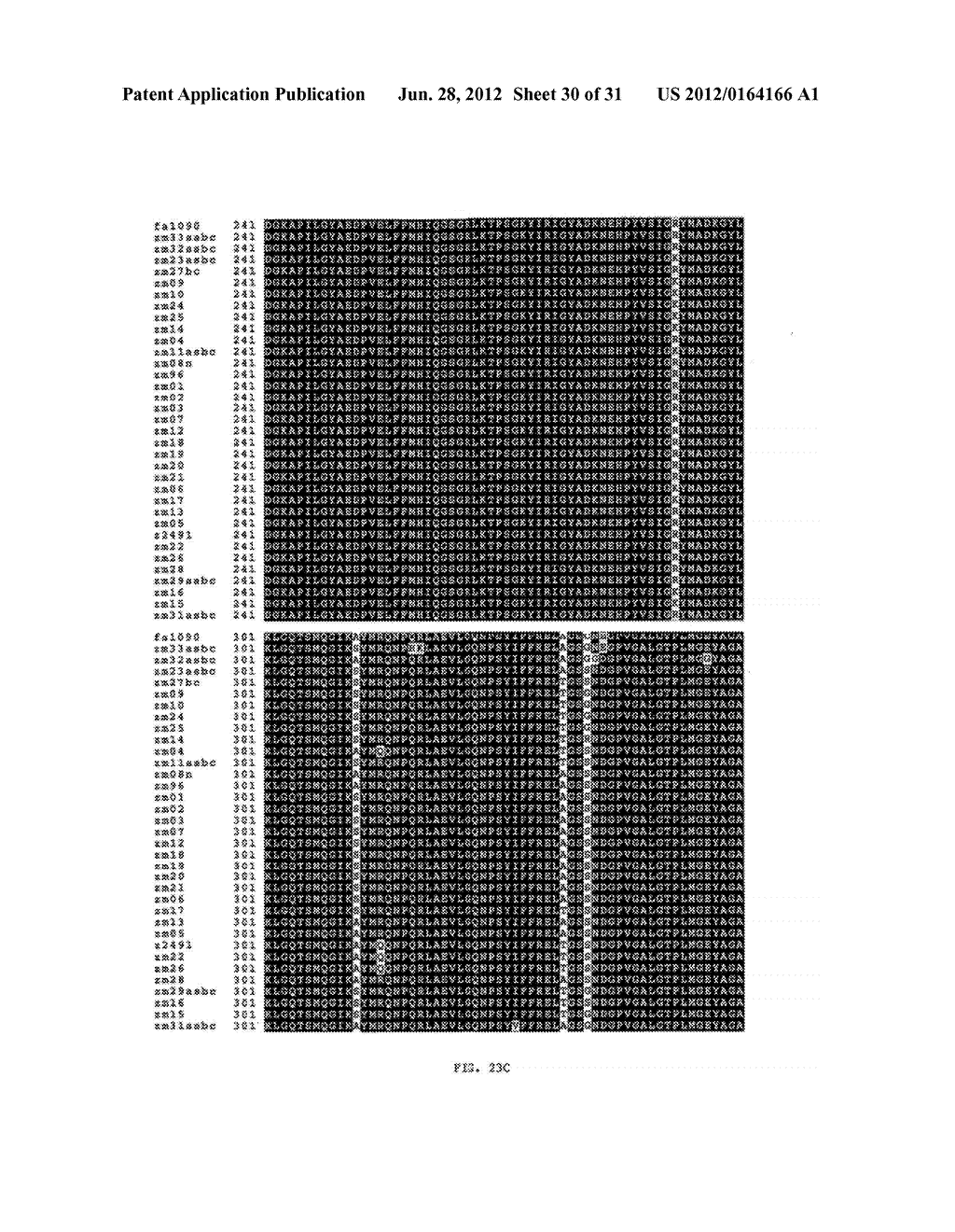 NEISSERIA MENINGITIDIS ANTIGENS AND COMPOSITIONS - diagram, schematic, and image 31