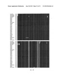 NEISSERIA MENINGITIDIS ANTIGENS AND COMPOSITIONS diagram and image