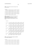 NEISSERIA MENINGITIDIS ANTIGENS AND COMPOSITIONS diagram and image