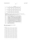 NEISSERIA MENINGITIDIS ANTIGENS AND COMPOSITIONS diagram and image