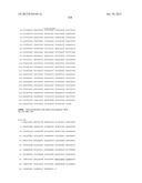 NEISSERIA MENINGITIDIS ANTIGENS AND COMPOSITIONS diagram and image