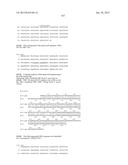 NEISSERIA MENINGITIDIS ANTIGENS AND COMPOSITIONS diagram and image