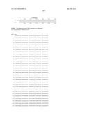 NEISSERIA MENINGITIDIS ANTIGENS AND COMPOSITIONS diagram and image