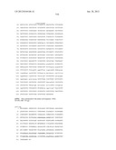 NEISSERIA MENINGITIDIS ANTIGENS AND COMPOSITIONS diagram and image