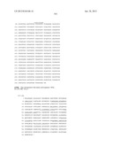 NEISSERIA MENINGITIDIS ANTIGENS AND COMPOSITIONS diagram and image