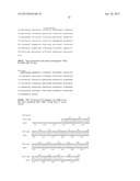 NEISSERIA MENINGITIDIS ANTIGENS AND COMPOSITIONS diagram and image