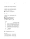 NEISSERIA MENINGITIDIS ANTIGENS AND COMPOSITIONS diagram and image