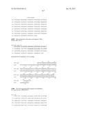 NEISSERIA MENINGITIDIS ANTIGENS AND COMPOSITIONS diagram and image