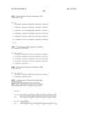 NEISSERIA MENINGITIDIS ANTIGENS AND COMPOSITIONS diagram and image