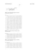 NEISSERIA MENINGITIDIS ANTIGENS AND COMPOSITIONS diagram and image