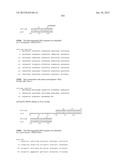 NEISSERIA MENINGITIDIS ANTIGENS AND COMPOSITIONS diagram and image