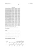 NEISSERIA MENINGITIDIS ANTIGENS AND COMPOSITIONS diagram and image