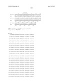 NEISSERIA MENINGITIDIS ANTIGENS AND COMPOSITIONS diagram and image