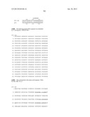 NEISSERIA MENINGITIDIS ANTIGENS AND COMPOSITIONS diagram and image