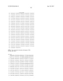 NEISSERIA MENINGITIDIS ANTIGENS AND COMPOSITIONS diagram and image