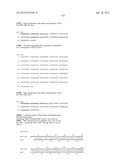 NEISSERIA MENINGITIDIS ANTIGENS AND COMPOSITIONS diagram and image