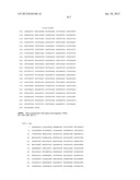 NEISSERIA MENINGITIDIS ANTIGENS AND COMPOSITIONS diagram and image