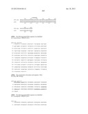 NEISSERIA MENINGITIDIS ANTIGENS AND COMPOSITIONS diagram and image