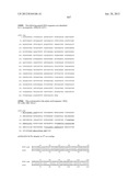 NEISSERIA MENINGITIDIS ANTIGENS AND COMPOSITIONS diagram and image