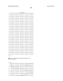 NEISSERIA MENINGITIDIS ANTIGENS AND COMPOSITIONS diagram and image