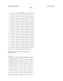 NEISSERIA MENINGITIDIS ANTIGENS AND COMPOSITIONS diagram and image