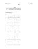 NEISSERIA MENINGITIDIS ANTIGENS AND COMPOSITIONS diagram and image