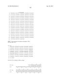 NEISSERIA MENINGITIDIS ANTIGENS AND COMPOSITIONS diagram and image