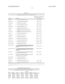 BOVINE HERPESVIRUS VACCINE diagram and image