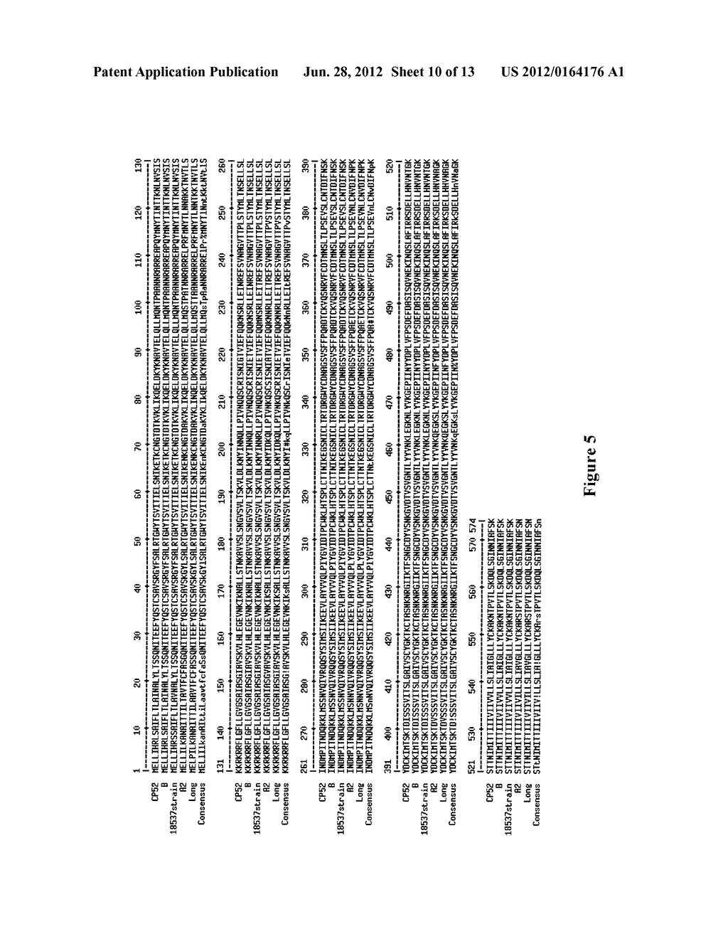 RSV F PROTEIN COMPOSITIONS AMD METHODS FOR MAKING SAME - diagram, schematic, and image 11
