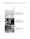 Leishmania Challenge Model diagram and image